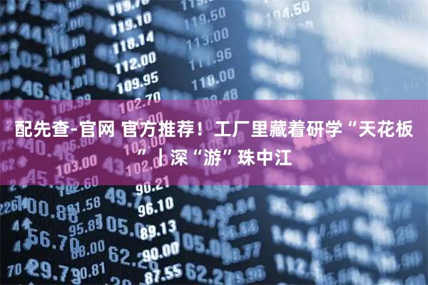 配先查-官网 官方推荐！工厂里藏着研学“天花板”｜深“游”珠中江